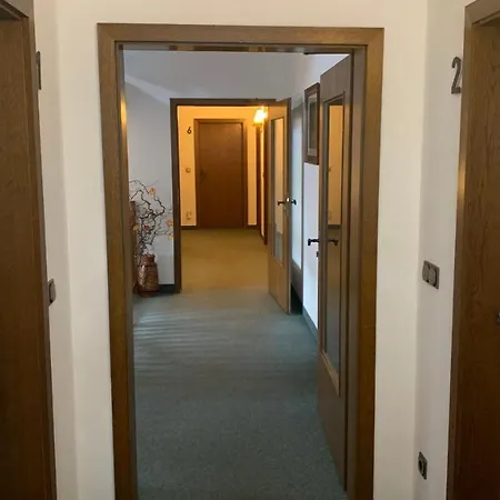 Almenrausch Hotel Neukirchen (Erzgebirgskreis)