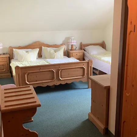 Hotel Almenrausch Neukirchen (Erzgebirgskreis)