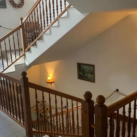 Hotel Almenrausch Neukirchen (Erzgebirgskreis)