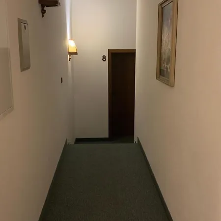 Hotel Almenrausch Neukirchen (Erzgebirgskreis)