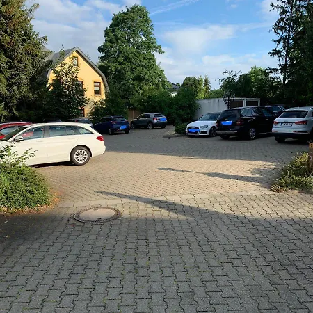 Almenrausch