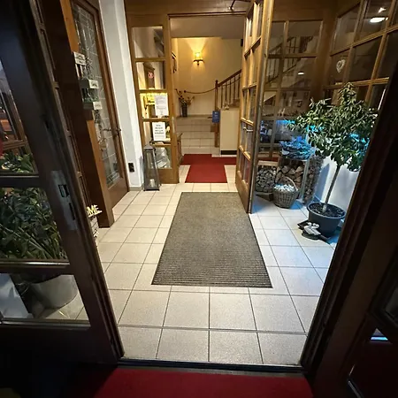 Hotel Almenrausch Neukirchen (Erzgebirgskreis)